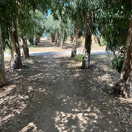 Hébergement de vacances Beba