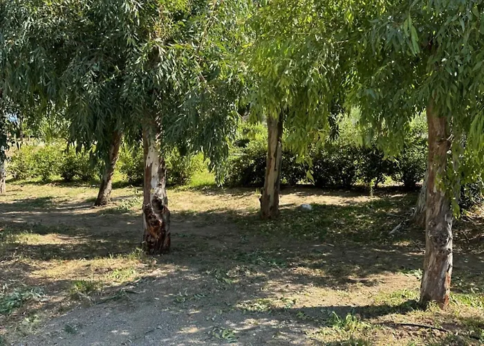 Hébergement de vacances Beba